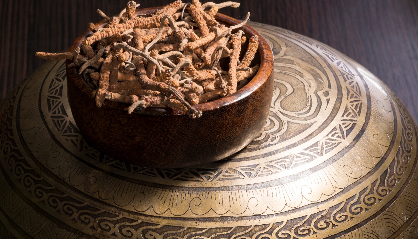 Fungo Cordyceps utilizzato nella tradizione orientale