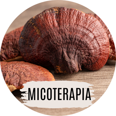 MICOTERAPIA