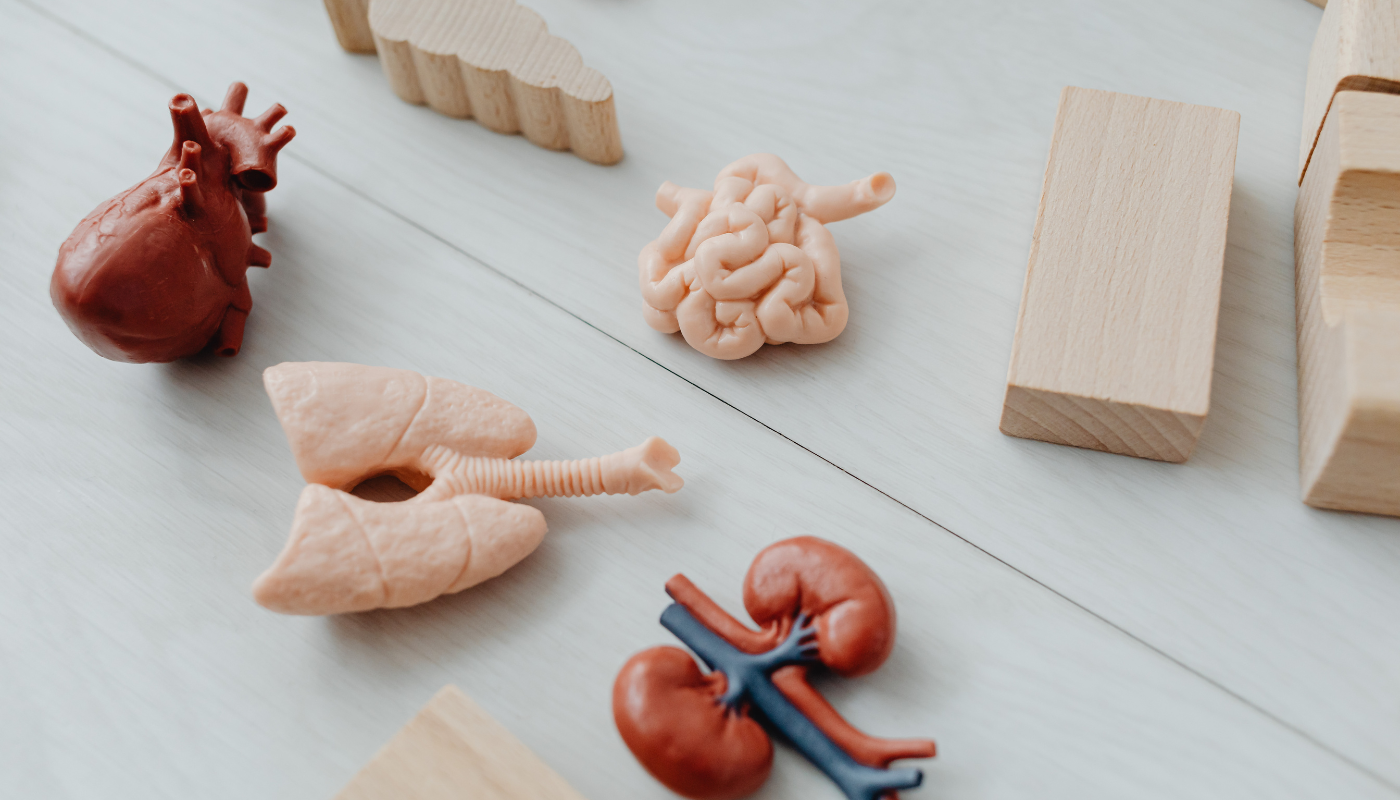 Infografica che mostra la differenza tra microbiota intestinale e microbioma intestinale